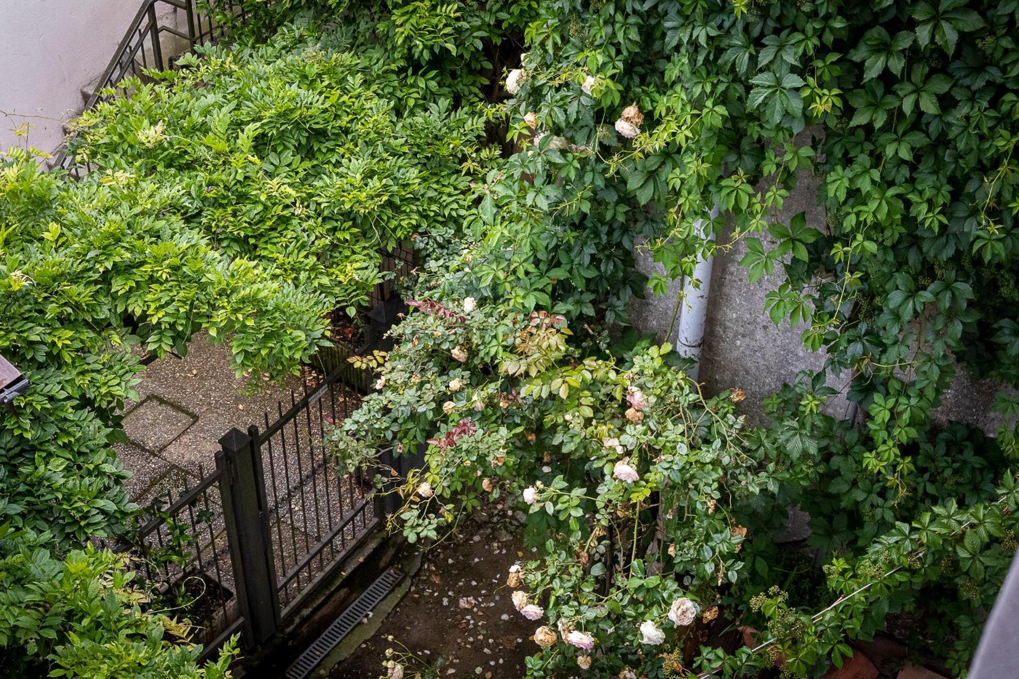 Fiordaliso Apartment コモ エクステリア 写真